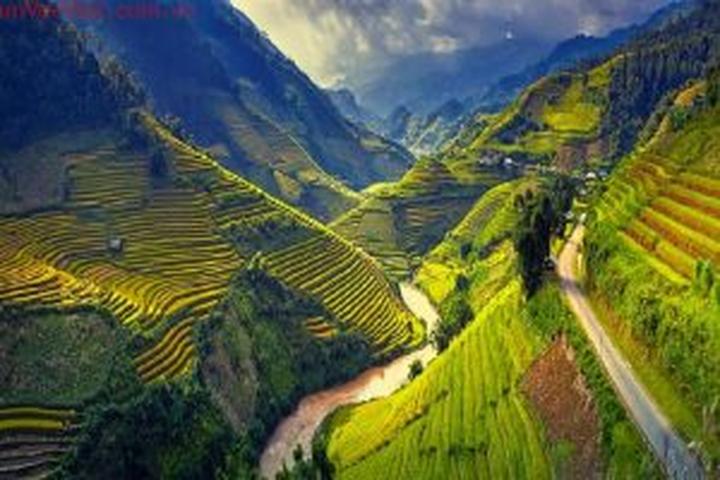 Hotspot Matrix và Quán cafe đầu tiên CẤM khách dùng laptop ngồi làm việc: ''Khách yêu cầu