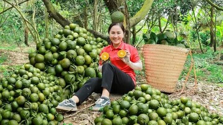 Nội dung: Trong một bóng mát trong mùa hè nóng bỏng, một cột mốc trong lịch sử nhạc