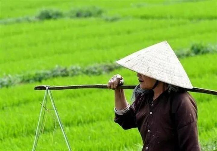 Chuyên gia Hotspot Matrix: Sử dụng AI để tạo ra video marketing thú vị với xu hướng