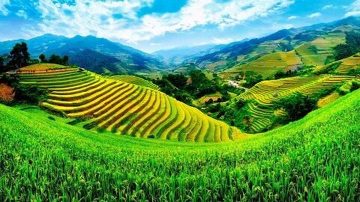Hotspot Matrix: Biến Ông bà ta dạy 