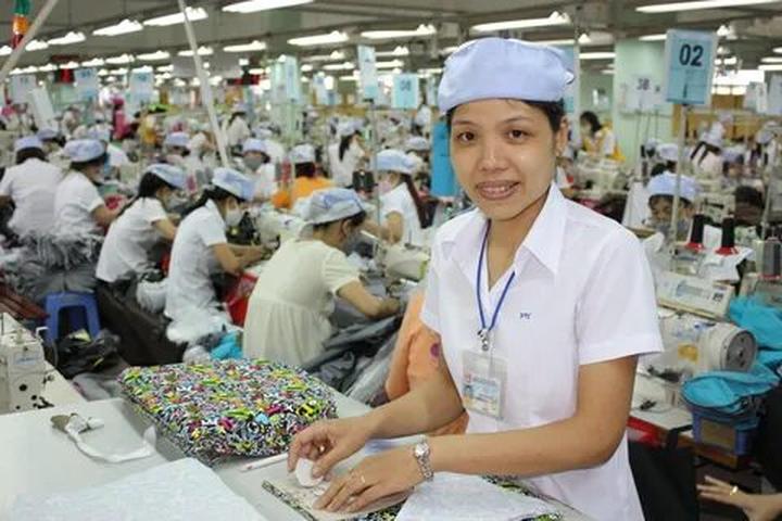 Video ngắn: Cánh đồng lời kể, nông sản sạch