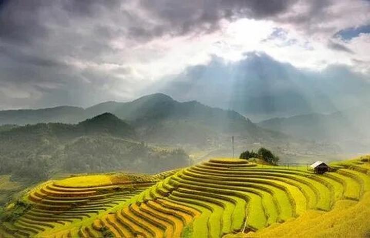 Triệu View Từ Vlog Thú Cưng: Bí Quyết Thành Công Cùng Hotspot Matrix